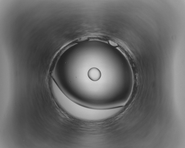 X0000113101260200908281341