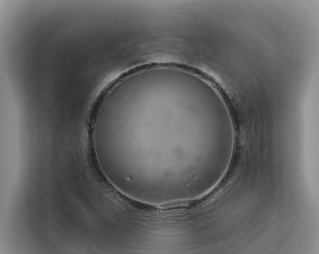 X0000113101263200908281341