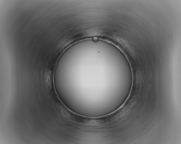 X0000113101265200908281341