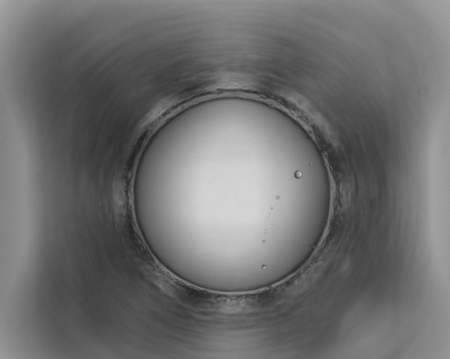 X0000113101266200908281341
