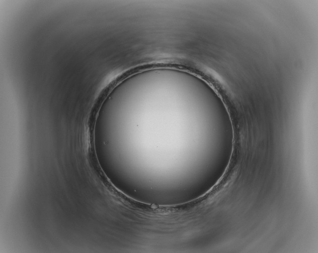 X0000113101267200908281341