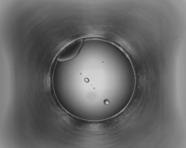 X0000113101268200908281341
