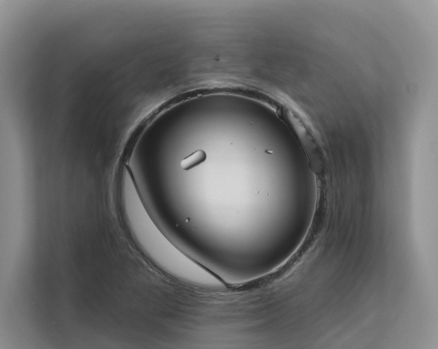 X0000113101269200908281341