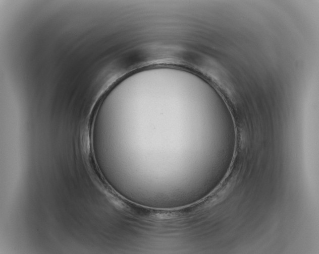 X0000113101274200908281340