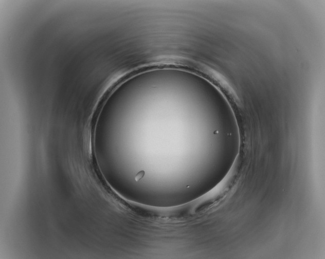 X0000113101275200908281340