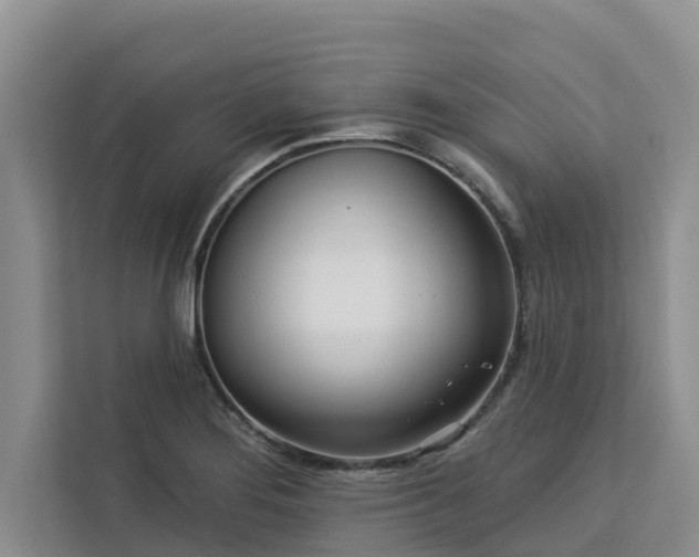 X0000113101276200908281340
