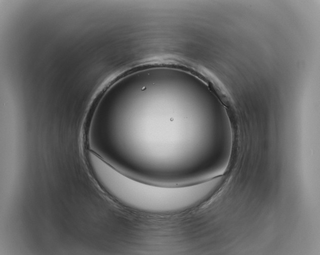 X0000113101277200908281340