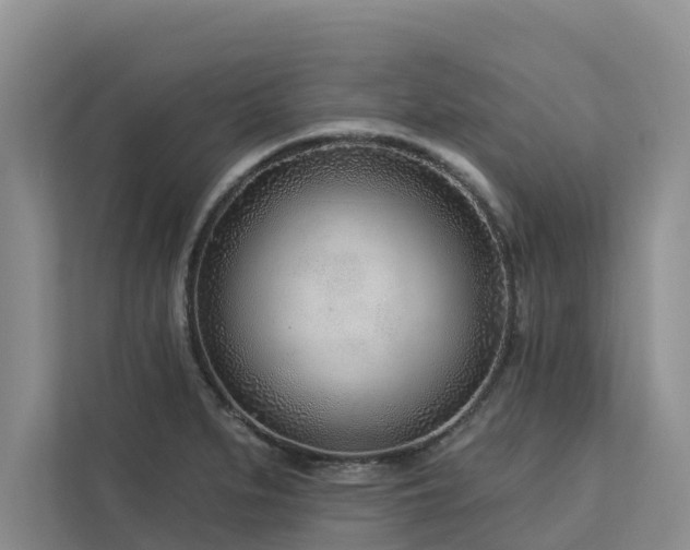 X0000113101279200908281340