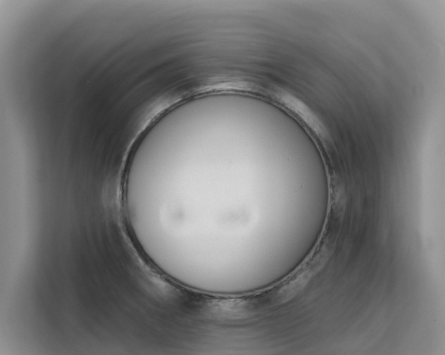 X0000113101282200908281340