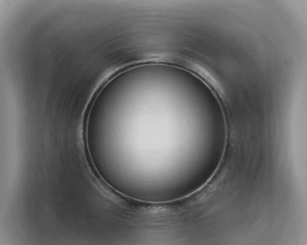X0000113101283200908281340