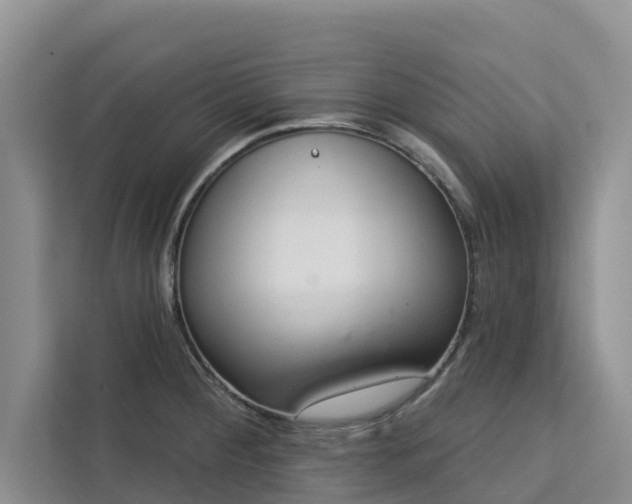 X0000113101284200908281340
