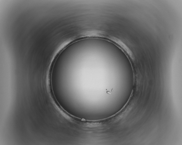 X0000113101285200908281340