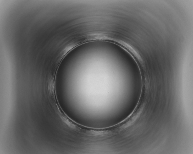 X0000113101289200908281340