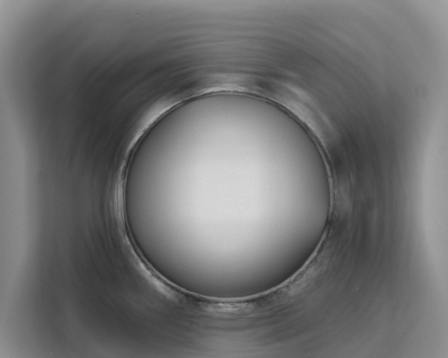 X0000113101290200908281340