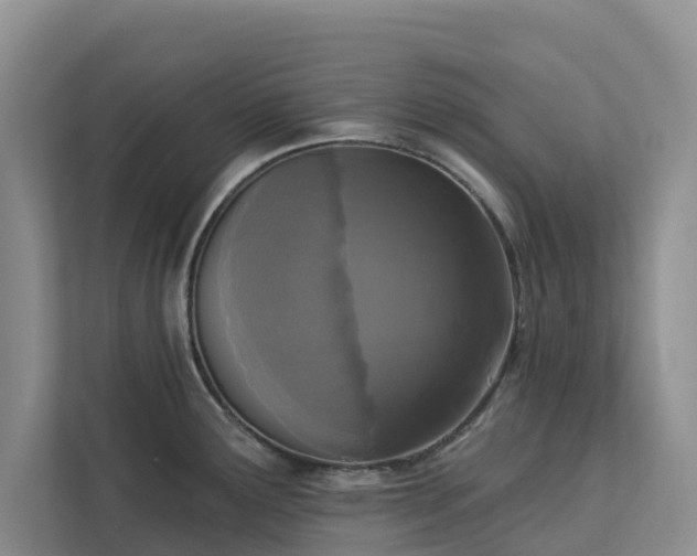X0000113101291200908281340