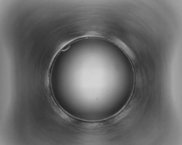 X0000113101292200908281340