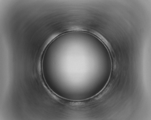 X0000113101293200908281340