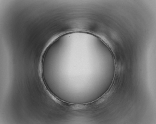 X0000113101294200908281340