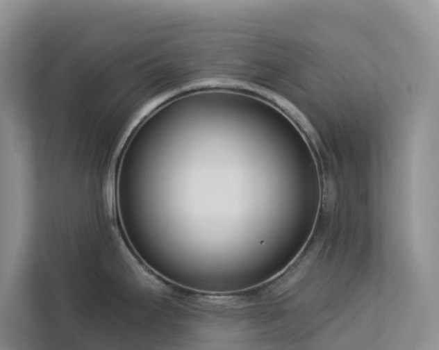 X0000113101295200908281340