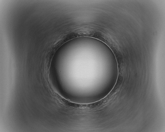 X0000113101297200908281340