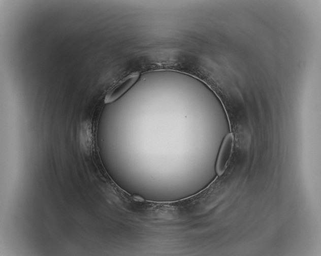 X0000113101298200908281340