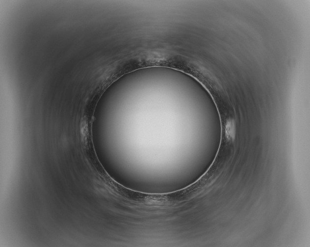 X0000113101299200908281340