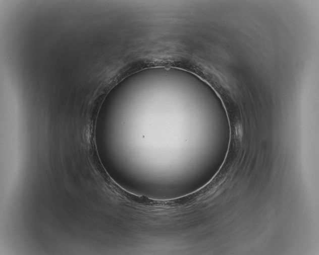 X0000113101300200908281340