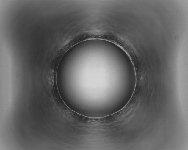 X0000113101301200908281340