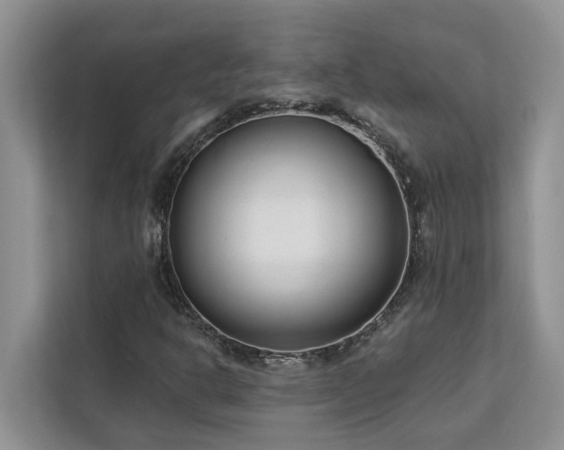 X0000113101302200908281340