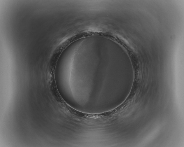 X0000113101303200908281340
