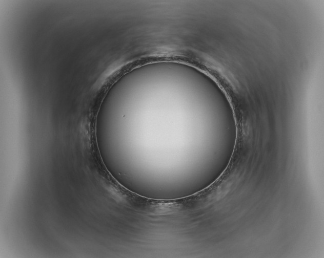 X0000113101304200908281340