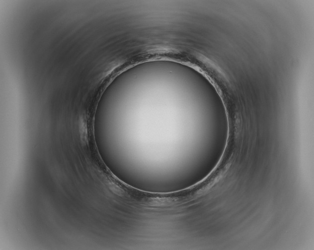 X0000113101305200908281340