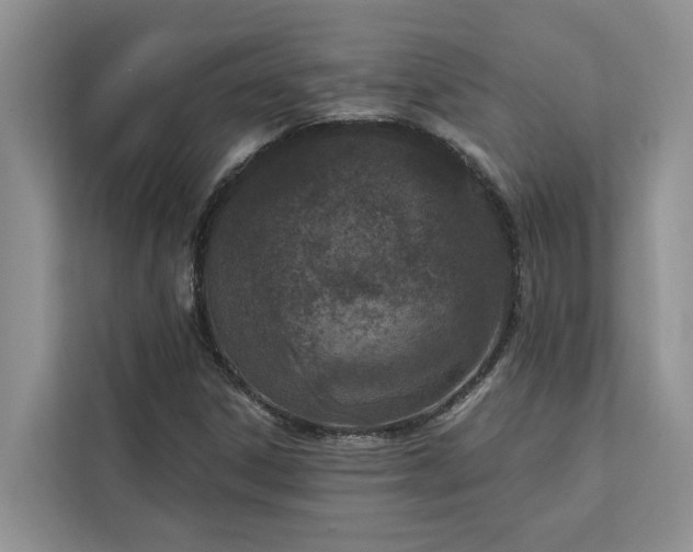 X0000113101306200908281340