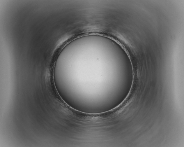 X0000113101309200908281340