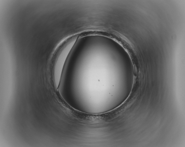 X0000113101310200908281340
