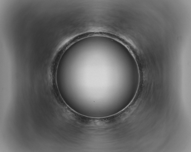X0000113101311200908281340
