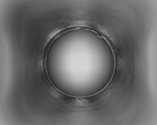 X0000113101312200908281340