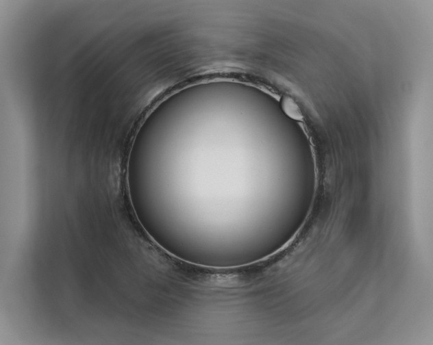 X0000113101313200908281340