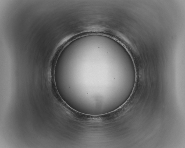 X0000113101315200908281340