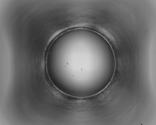 X0000113101316200908281340