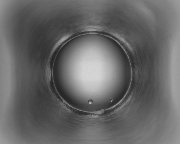 X0000113101317200908281340