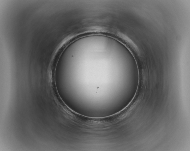 X0000113101318200908281340