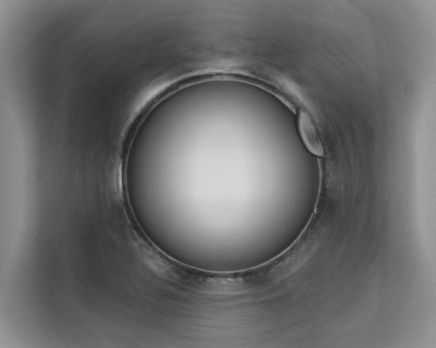X0000113101320200908281340