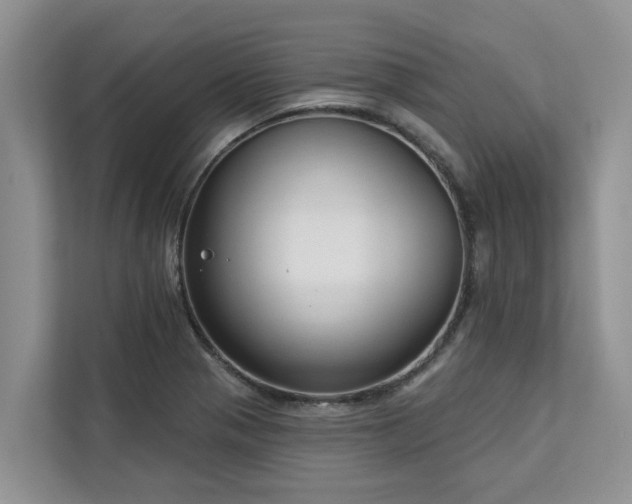 X0000113101321200908281340