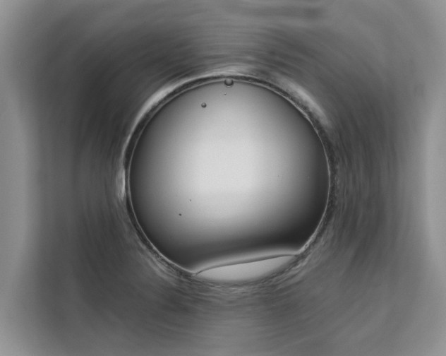 X0000113101324200908281340