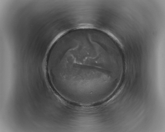 X0000113101325200908281340