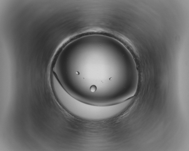 X0000113101326200908281340