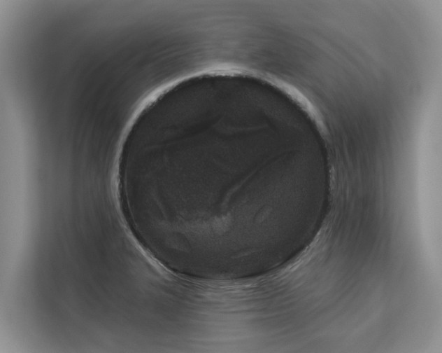 X0000113101327200908281340