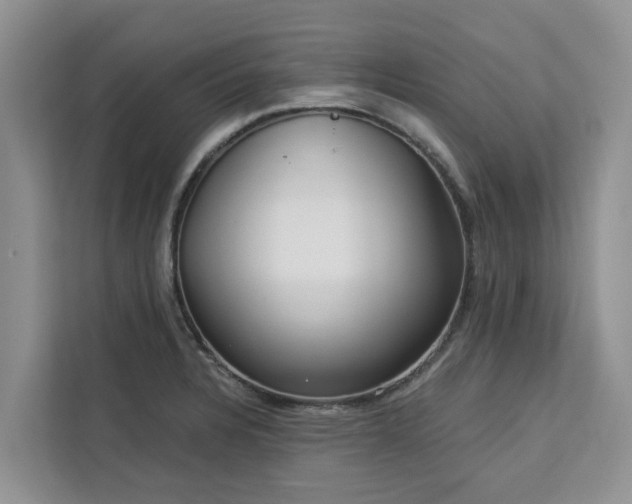 X0000113101328200908281340