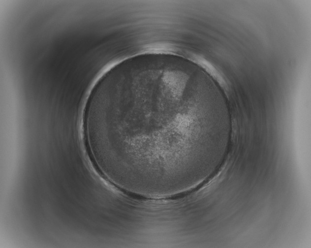 X0000113101331200908281340